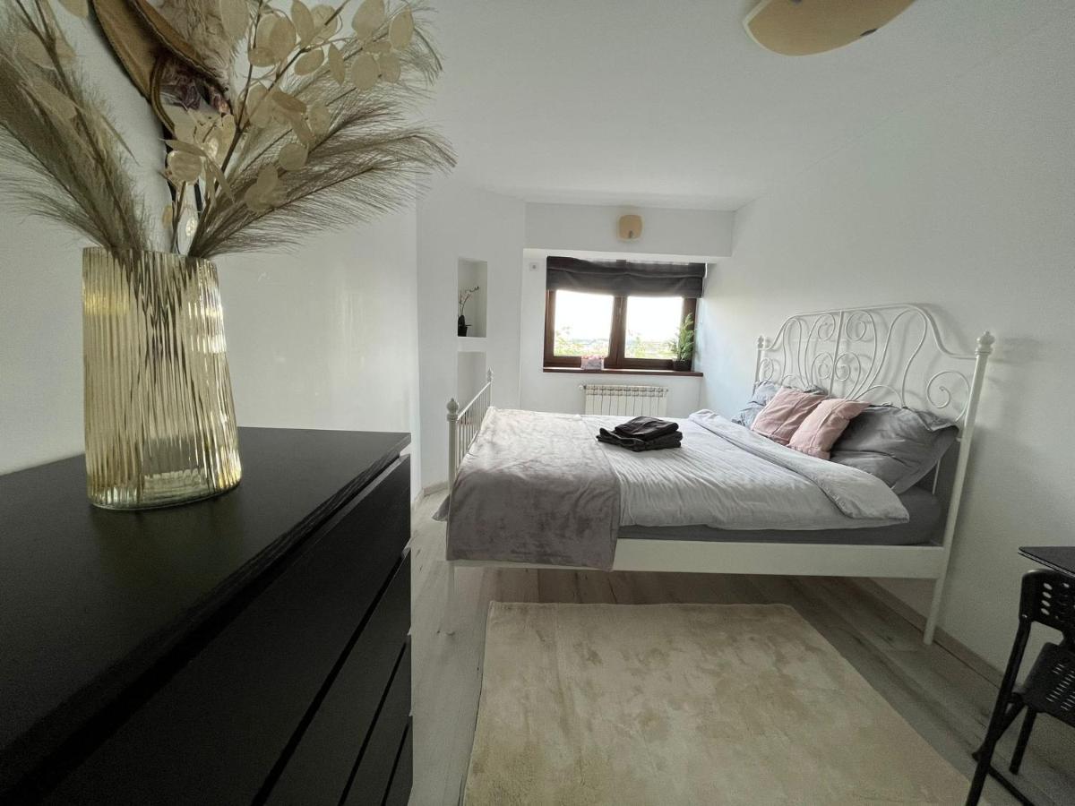 City Center Privat-Sauna Familyconcept Iasi Exteriér fotografie